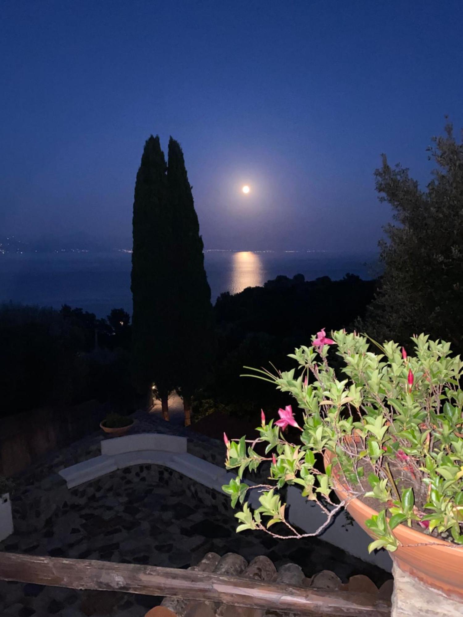 Maison Du Reve Scario Dış mekan fotoğraf